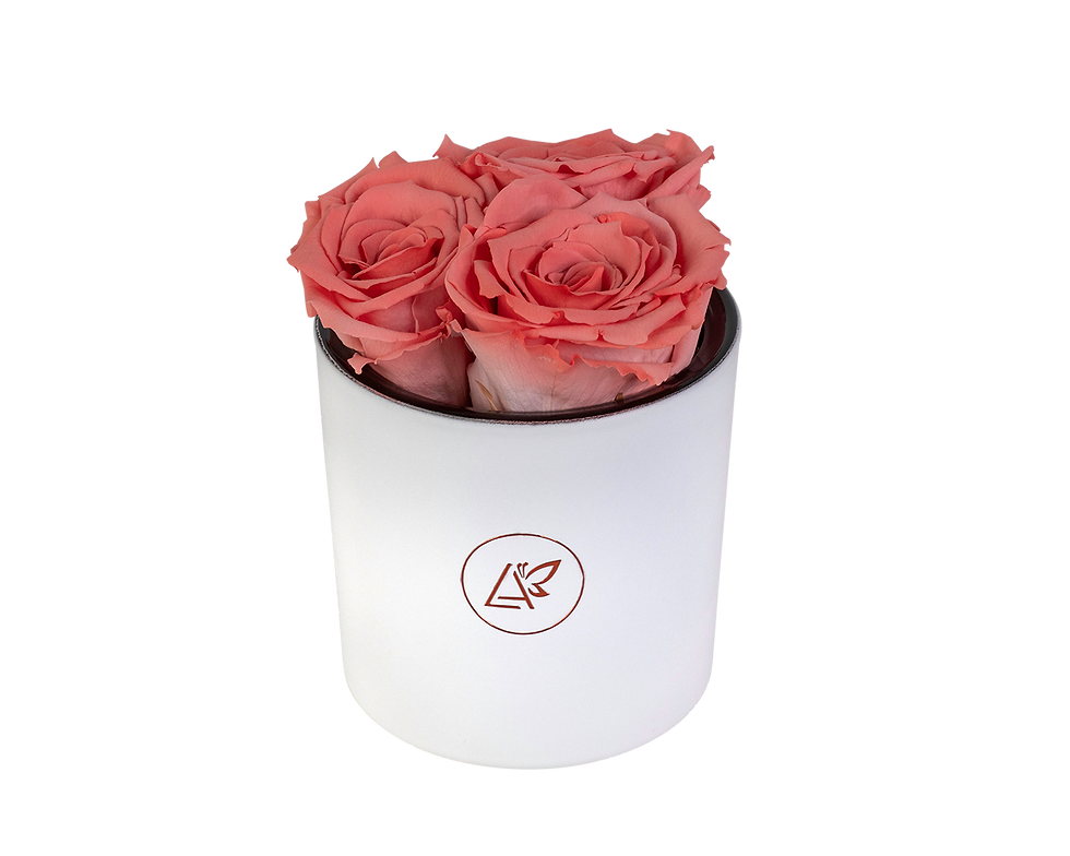 Миниатюра: Infinity Tre Roses