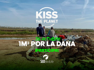 ¡Repara con nosotros los daños de la DANA!