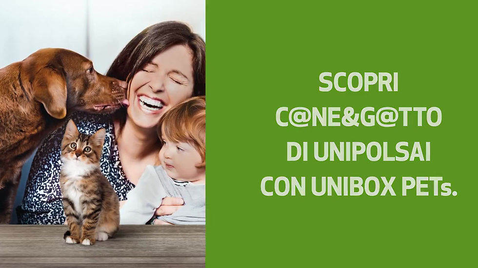Miniatura: C@ne&G@tto