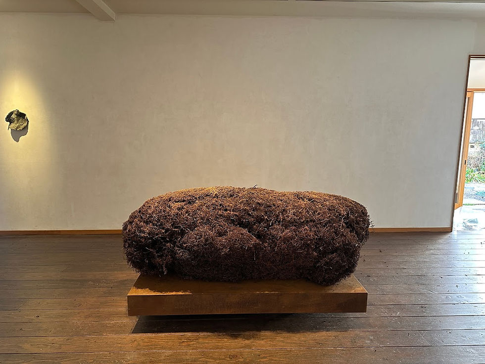 加藤可奈衛 展