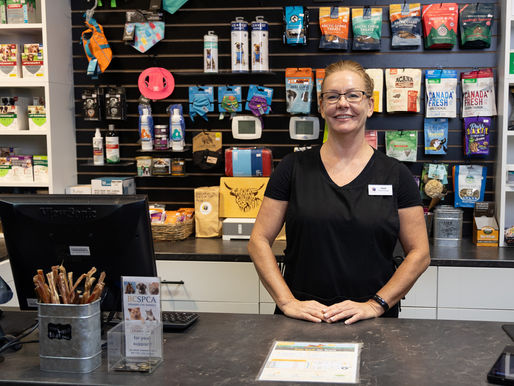 "From Dreams to Wagging Tails: The Success Story of Firetail Pets in Squamish"