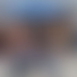 Straight from Japan to Squamish: The Aikidaily International Academy