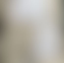 石 川 印 度 商 店  2 0 1 9