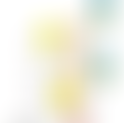 2019.02 アシュタンガヨガ名古屋 スケジュール