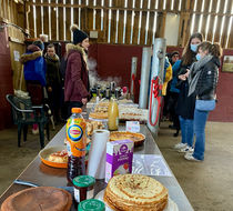IMG_6031.jpeg