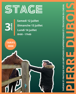 Stage équitation éthologique - Pierre Dubois