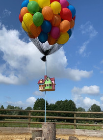 IMG_0382 (1).jpeg