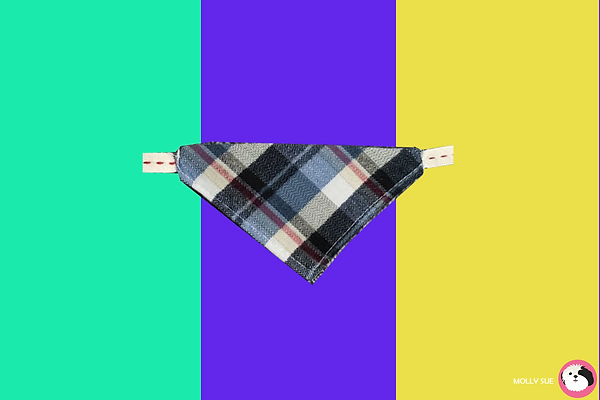 pañuelo2.png