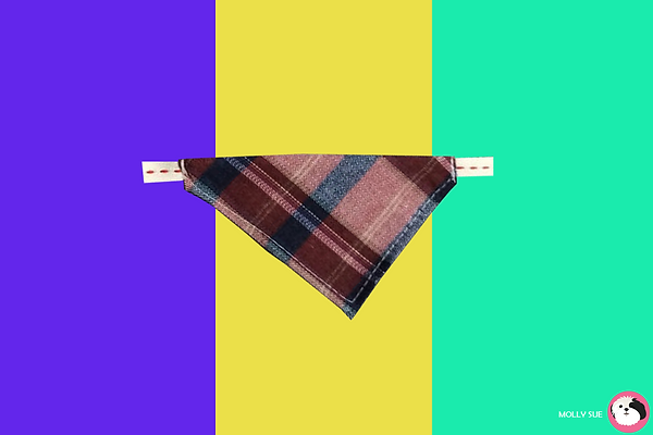 pañuelo3.png