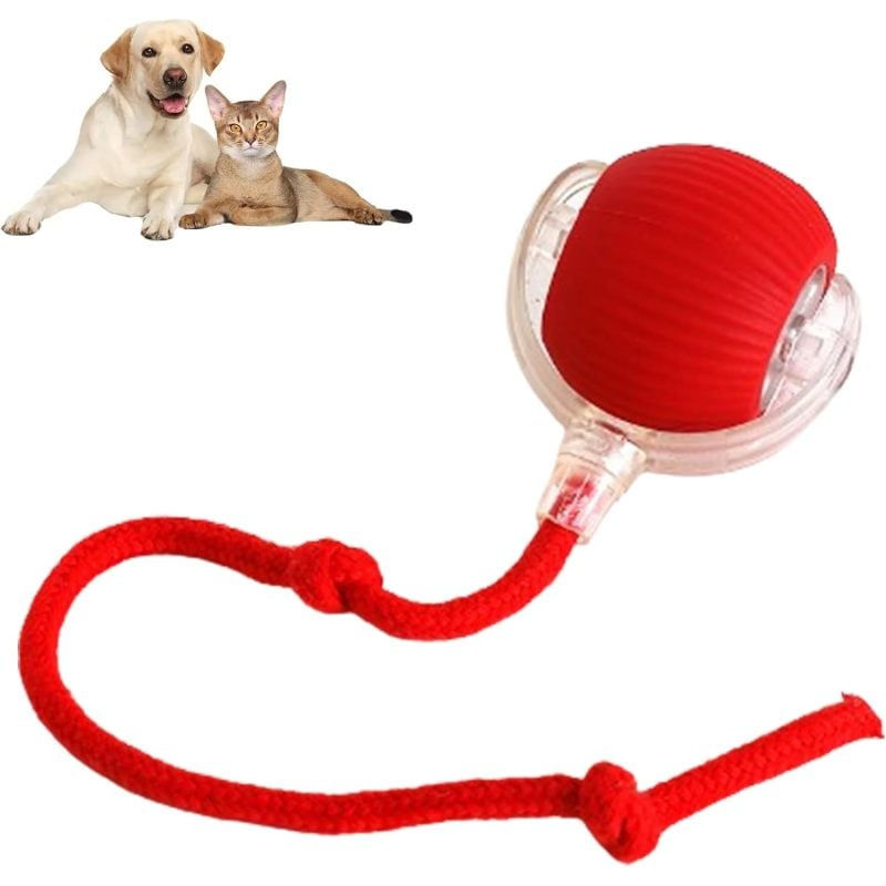 Thumbnail: 360 Smart Automatic Rolling Pet Ball