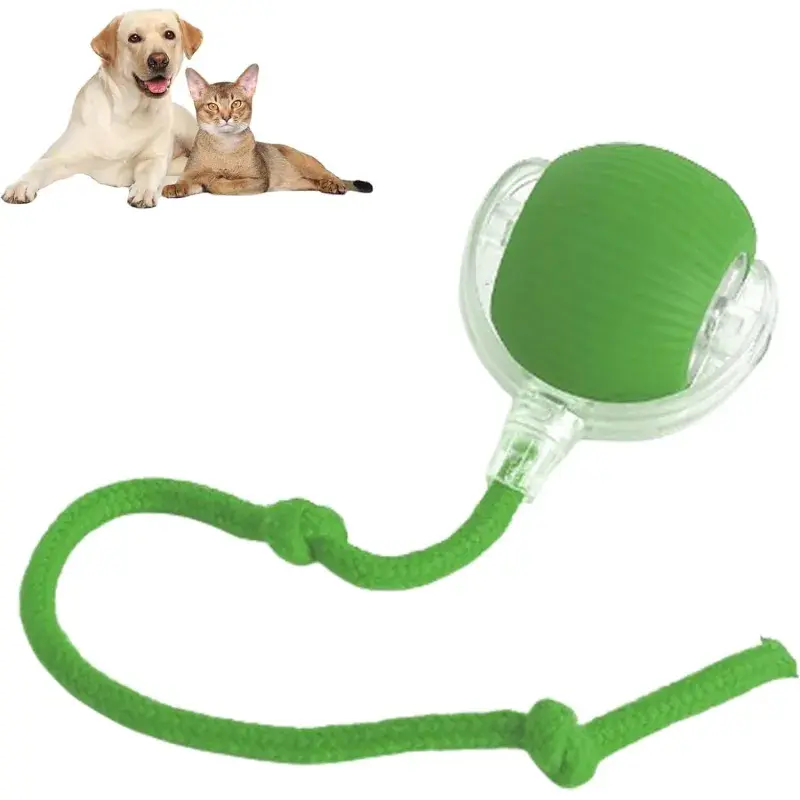 Miniatura: 360 Smart Automatic Rolling Pet Ball