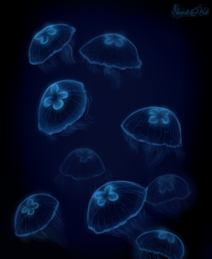 jebbies.png