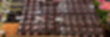 3be4adae-2f73-413c-a01a-9a2808eb34b6_edited_edited.jpg