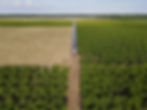 DJI_0025.JPG