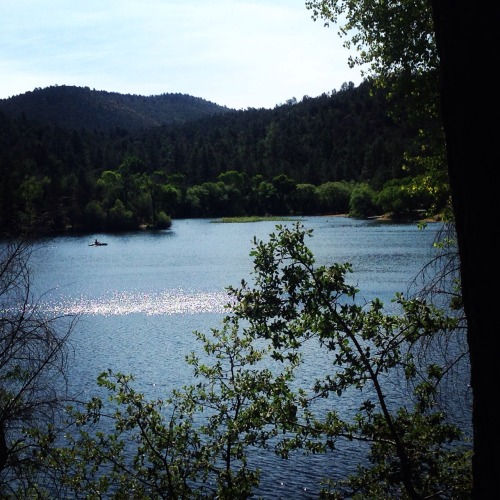 Lynx Lake