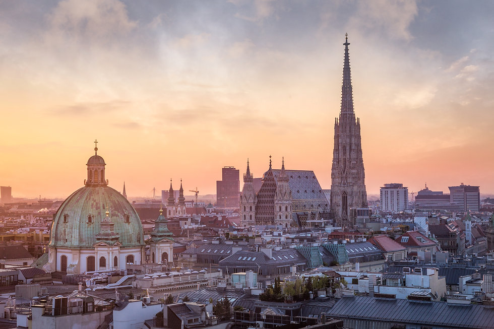 vienna skyline.jpeg