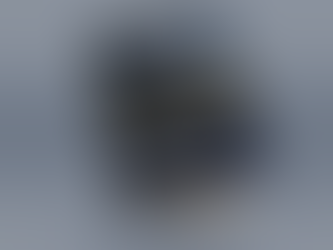 Krankentötungen in Kliniken und Heimen.