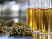 THC Nachweiszeit Urin: Was Du Wissen Musst