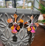 506304211_10229259976300893_619423783672