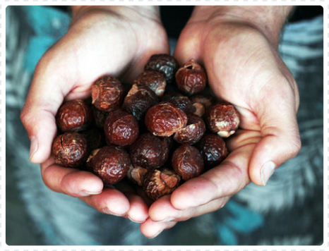 How to use soap nuts for laundry?