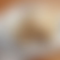 HISTÓRIA DO STRUDEL