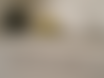 How Do I Keep Pesky Ants Out of My Kitchen?