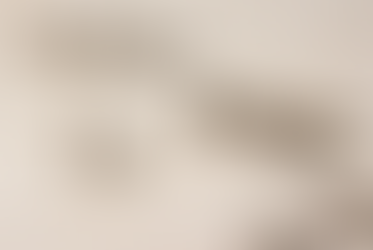 Top 10 Pests in Sonoma County and How to Keep Them Away