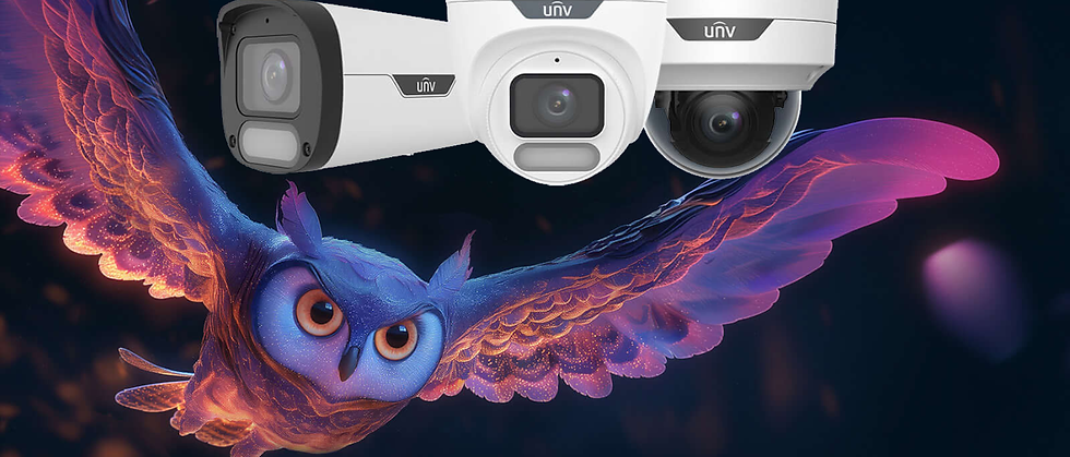 Owl view cameras graphic showing new CCTV cameras and flying owl