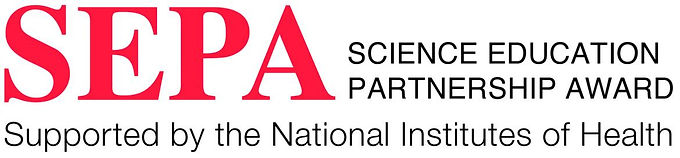UCSF’s Health & Science Education Partnership: High School Intern Program