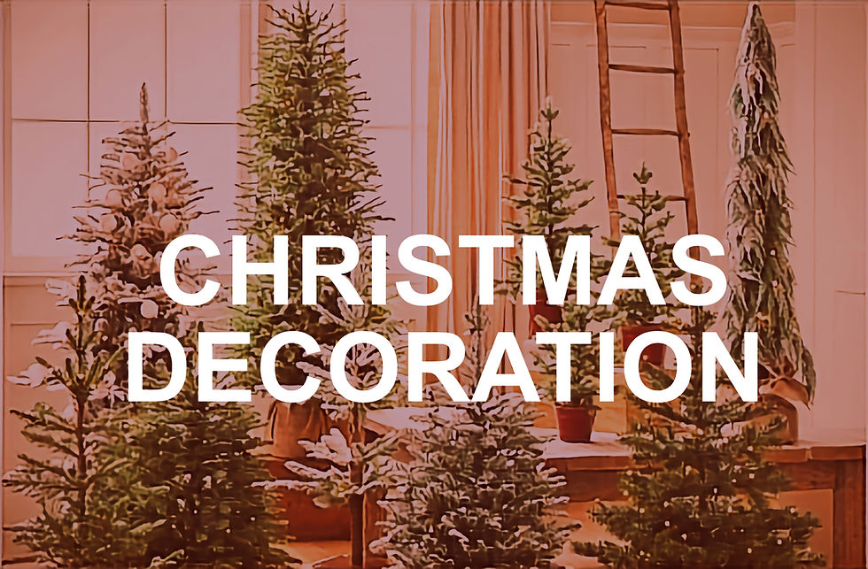 Ladies Christmas Decor Day!