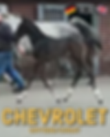 image0 (6).png