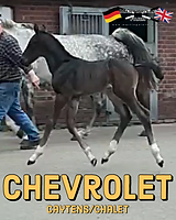 image0 (6).png
