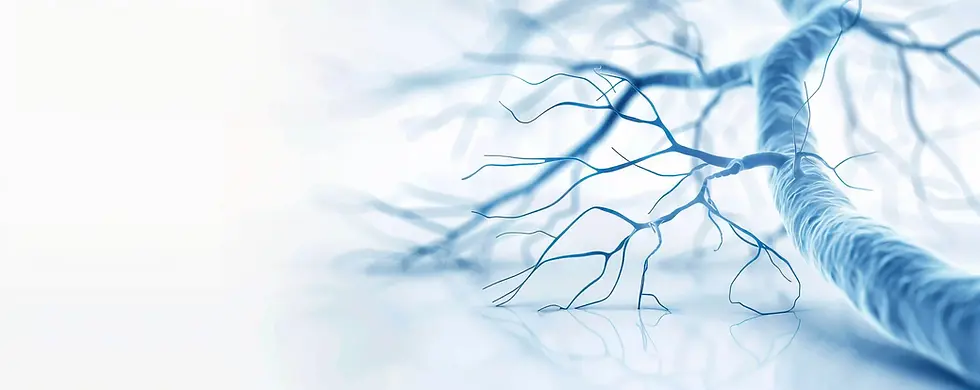 vascular surgeon Dubai 7.webp