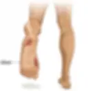 DM foot.webp