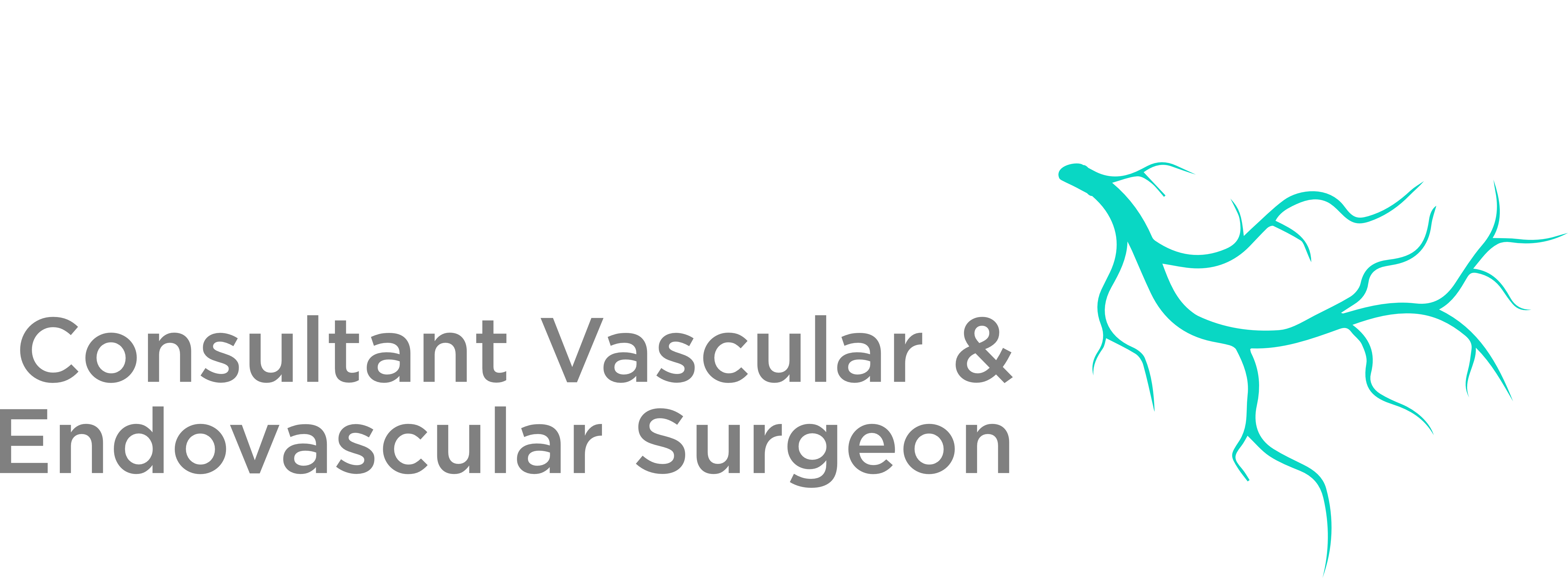 Dr. Soroush Sohrabi Vascular Surgeon