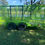 Thumbnail: 12 x 7 landscape traielr