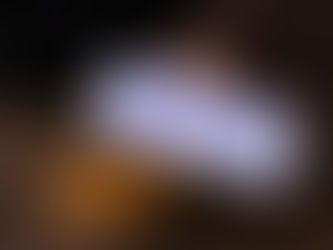 Ordinanza ingiunzione annullata per carenza di potere del viceprefetto aggiunto