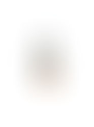 Allilavu 👀 // Diplomatie féline