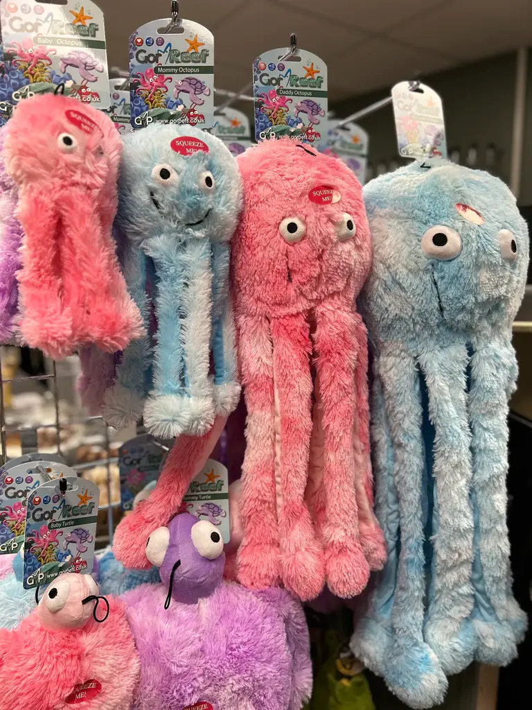 Thumbnail: Reef Octopus