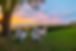 ext5-ws.jpg