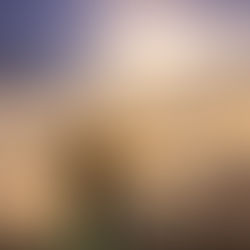 How to Choose the Right University for YOU