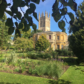 The Oxford Botanic Garden