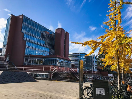 A Response to Cambridge 2020/21 Teaching Arrangements