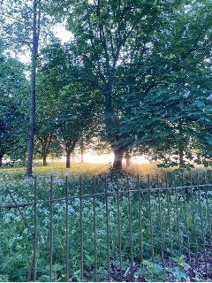 Catching a Break – Essential Green Spaces in Oxford