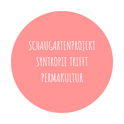 Syntropie & Permakultur: Schaugartenprojekt 28.3.2026