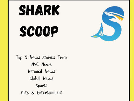 Shark Scoop- December 8, 2025