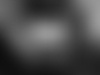 Love, Kelly: Signed, Sealed, and Sent to NYFW