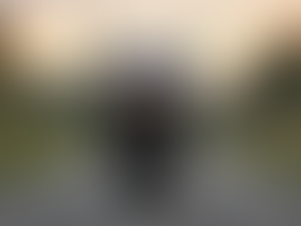 2002 Honda VFR800 Insights: A Detailed Review