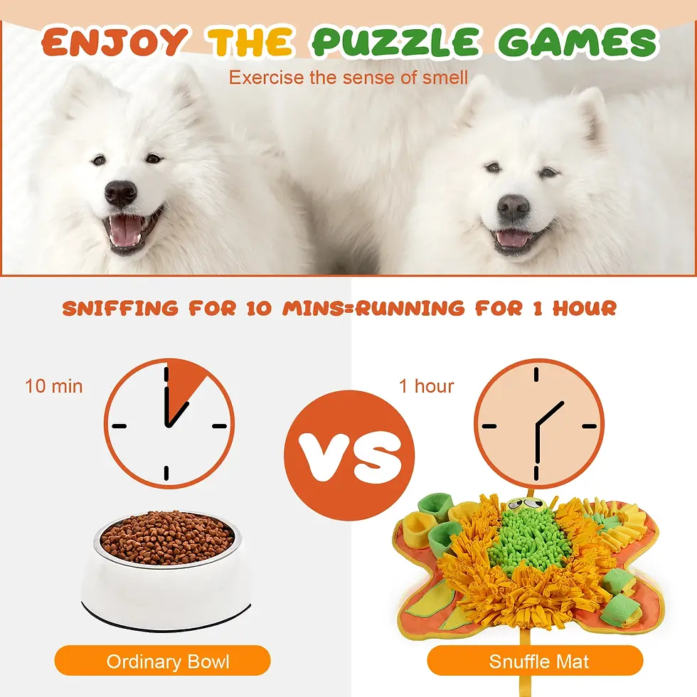 Thumbnail: JTPAWS™ CalmFeed Snuffle Mat