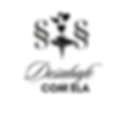 Logotipo Nome Minimalista Branco e Preto.png